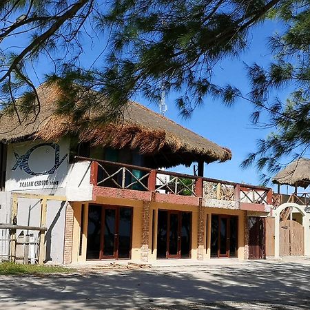 Xcalak Caribe Lodge Extérieur photo